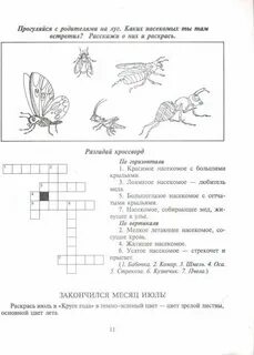 Кроссворд насекомые 7