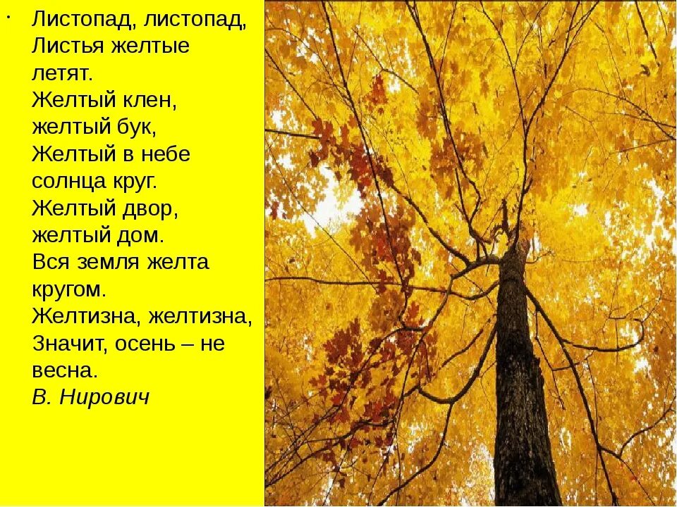 Листопад листопад листья желтые шуршат. Листопад листопад листья. Листопад листопад листья желтые летят. Желтый клен желтый бук. Стих листопад листопад листья желтые.