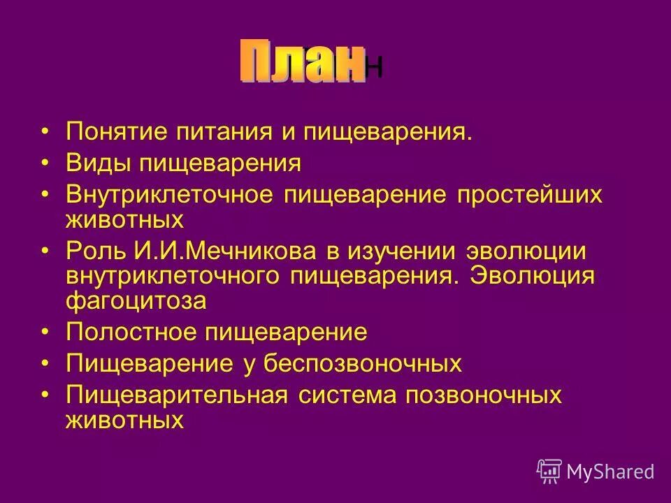Функции внутриклеточного пищеварения выполняют. Функции внутриклеточного пищеварения выполняют