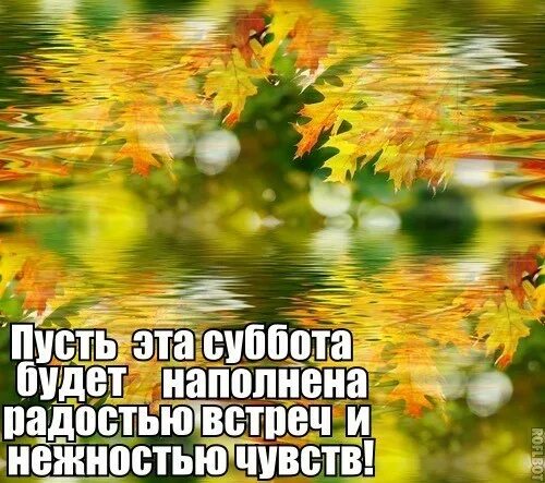 1 суббота сентября какой. С добрым осенним субботним утром. КС добрым осннним утром суббоьы. Сдобрым осеним утром субботы. Доброе утро субботы осень.