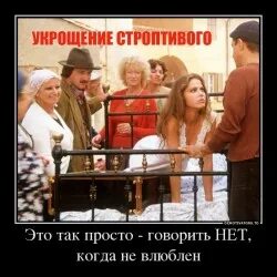 Строптивый это простыми. Адриано челентано 2022. Строптивый это простыми. Орнелла мути укрощение строптивого. Адриано челентано укрощение строптивого.