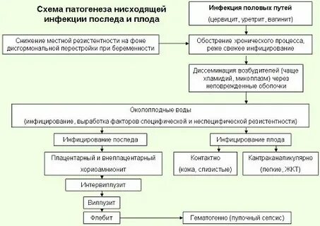 Лечение уретрита схема