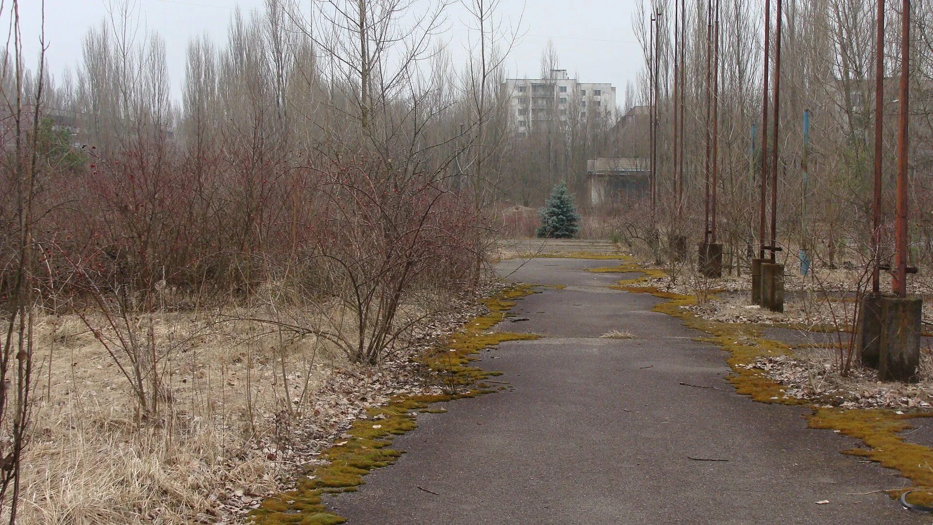 Дорога в чернобыль. Дорога в чернобыль. Зона отчуждения чернобыльской аэс. Зона отчуждения дороги. Копачи чернобыль.