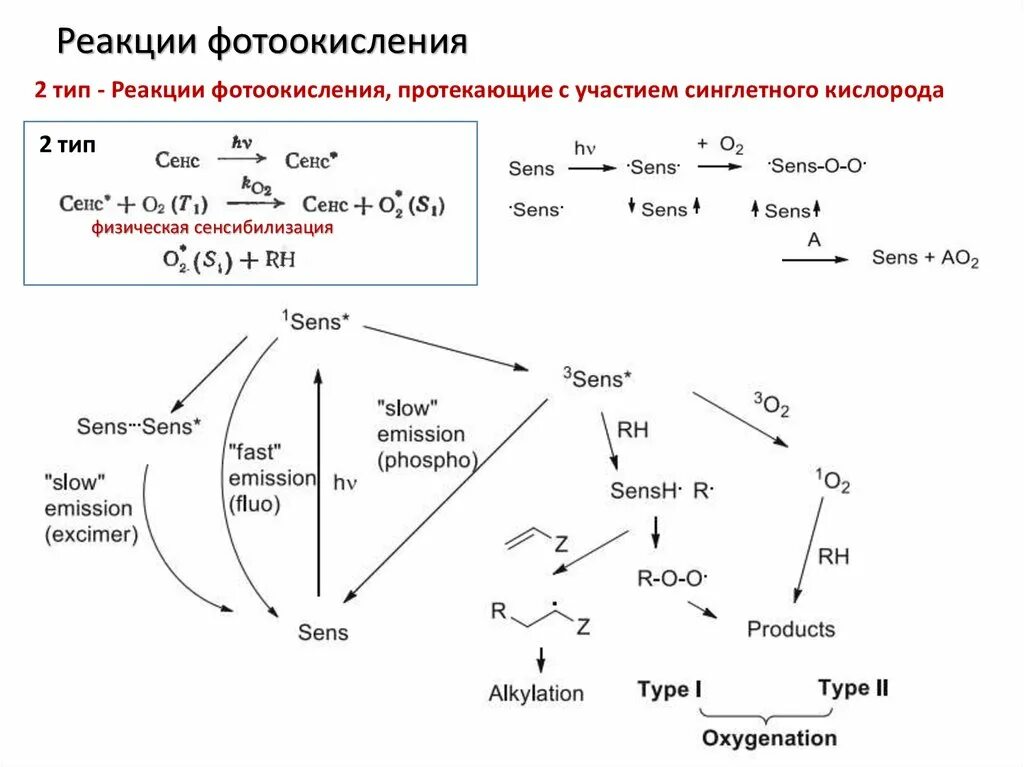 Фотосистема 1 реакции. Реакции с участием кислорода. Реакция фотоокисления. Фотохимические реакции.