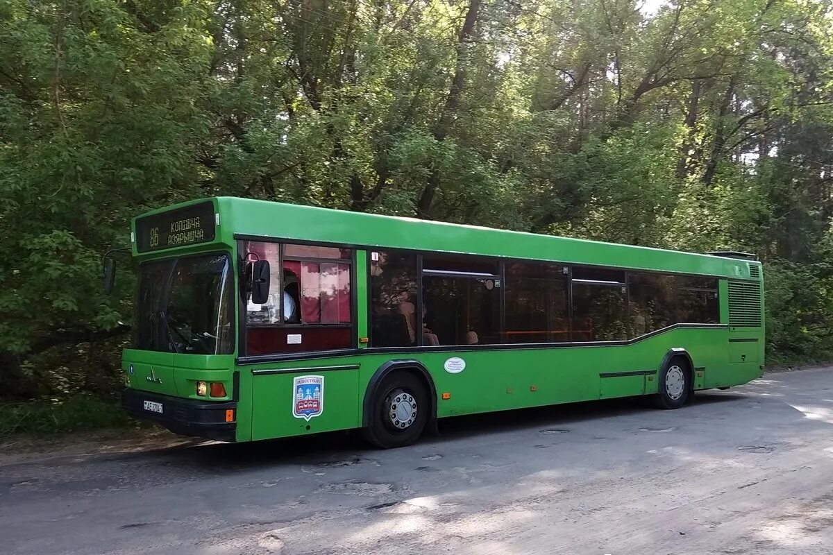 МАЗ 103.065. МАЗ-103.065 зелёный. МАЗ 103 Минск. МАЗ 103 Eko-Bus. 51 автобус минск