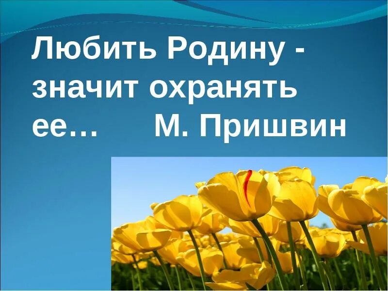 Любить родину. Любите свою родину. Родину нужно любить. Что значит любить родину.