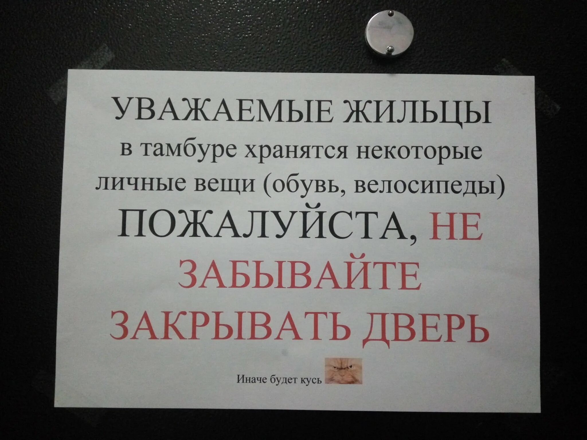 Почему кричали закрывайте двери. Объявления о закрытии дверей в подъезде. Закрывайте дверь в подъезд. Объявление о закрытии двери. Объявление закрывайте дверь в подъезде.