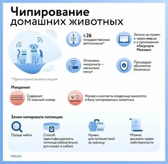 Запись к ветеринару через госуслуги