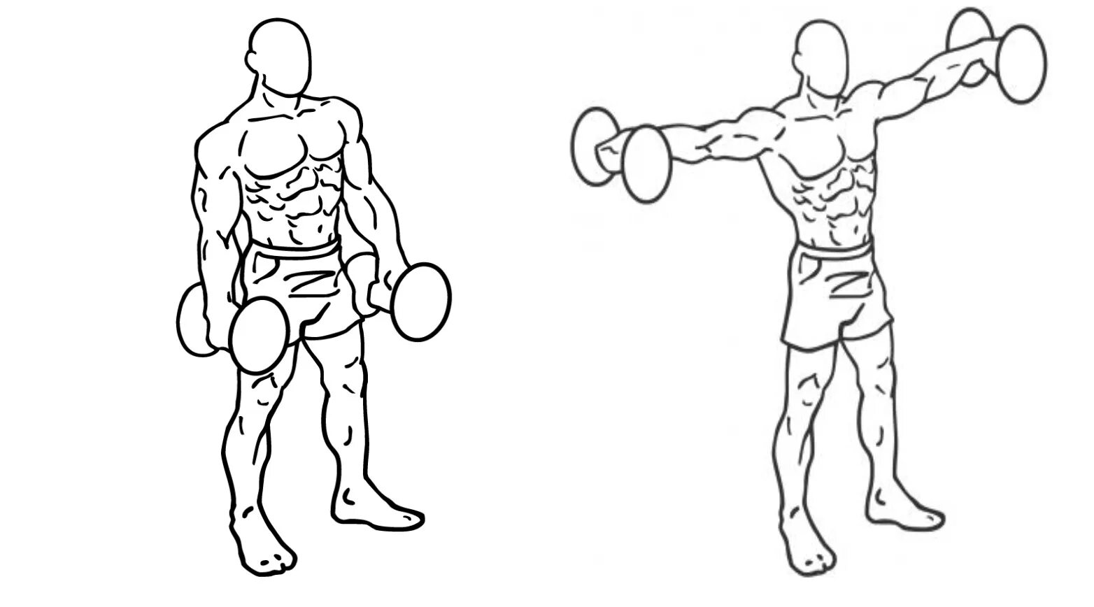 Махи гантелями в стороны. Разводка гантелей в стороны стоя. Махи гантелей в стороны стоя. Махи гантелями в стороны стоя техника.
