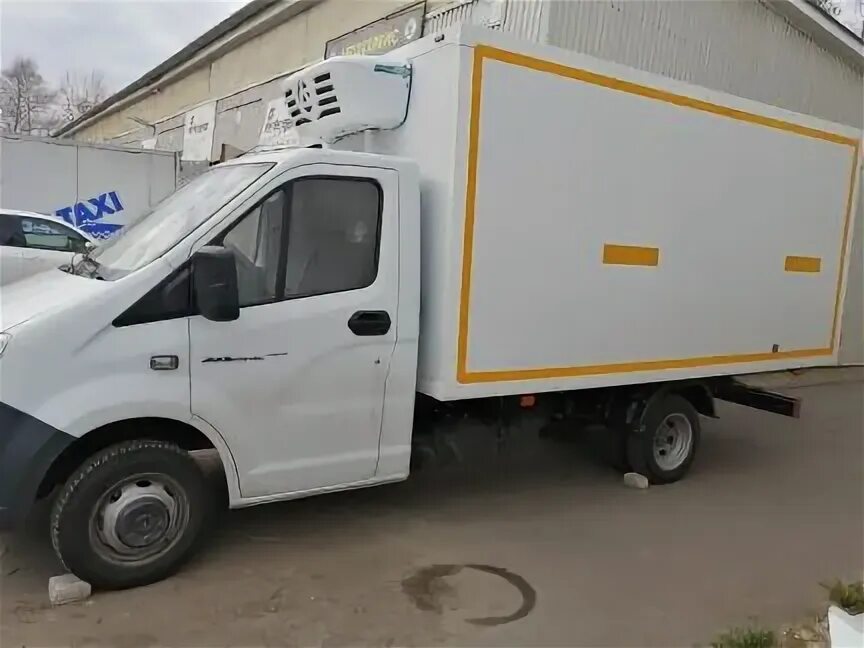 Газель калуга область. Газель калуга область