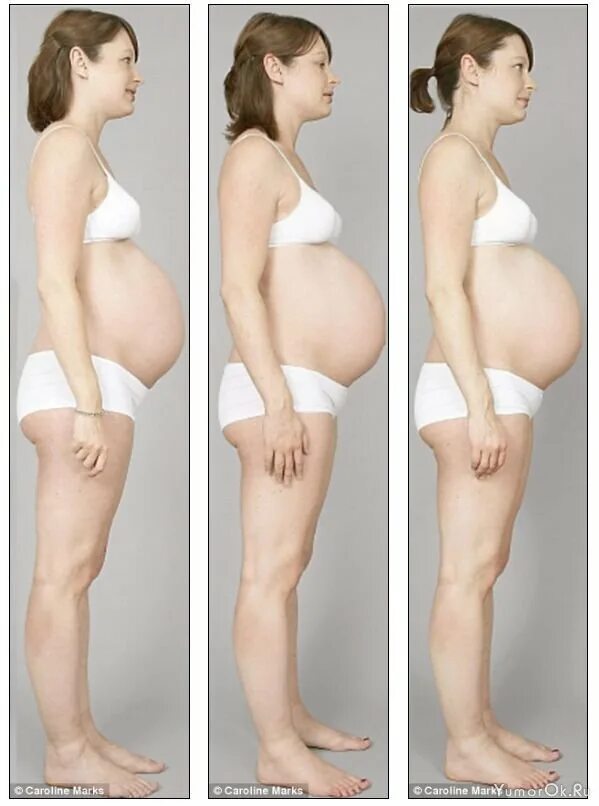 Беременность 1 9 месяцев. Рост живота. Живот растет. Растущий живот у беременных.