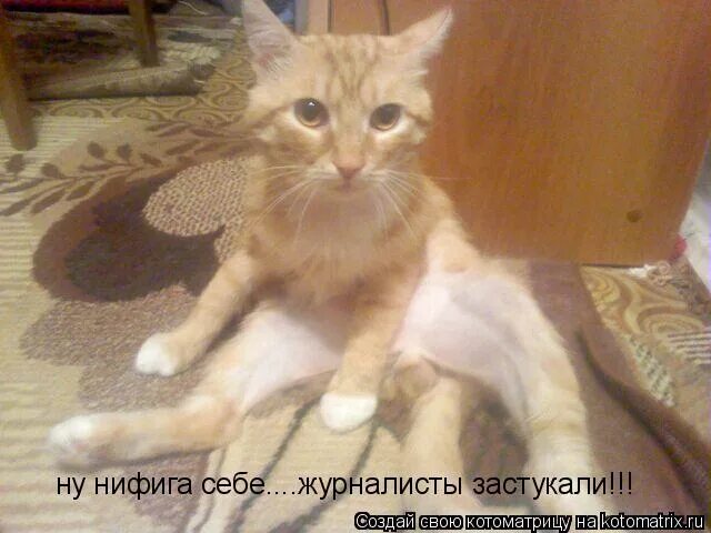 Ни фига себе или нифига себе. Не фига или нифига. Открытки ничего себе. Ленин с фигой. Не фига или нифига.