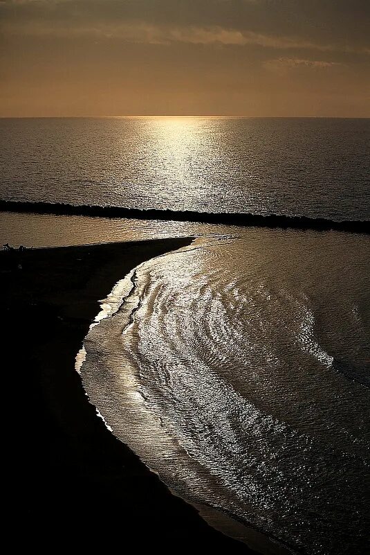 Золотое море. Золотое море фото. Владимирское море. Море Голд.