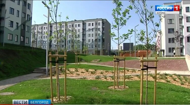 Белгород как живут люди сейчас. Новая жизнь белгород. жк новая жизнь белгород. кинотеатр новая жизнь белгород. новая жизнь белгород логотип.
