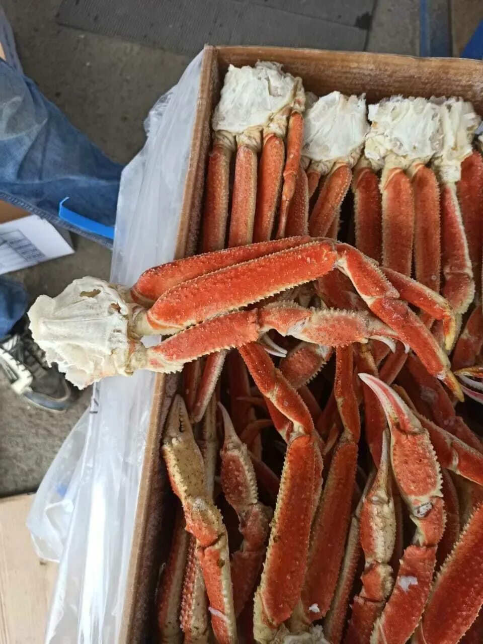 Краб опилио что это. Краб стригун. фаланга краба стригуна. краб стригун фото. краб стригун 1 кг.