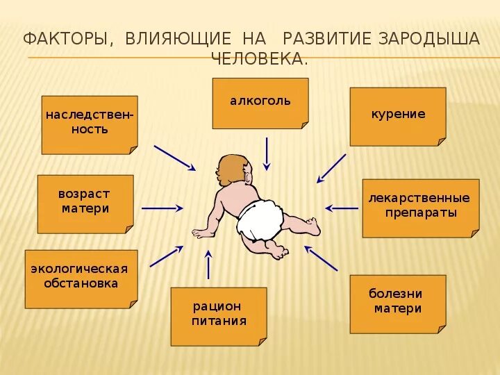 Рост и развитие ребенка после рождения презентация. Факторы влияющие на развитие плода. Факторы оказывающие отрицательное воздействие на развитие плода. Факторы влияющие на развитие зародыша. Факторы влияющие на внутриутробное развитие плода.