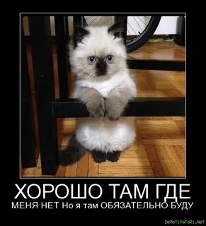Скажи как ты там без меня