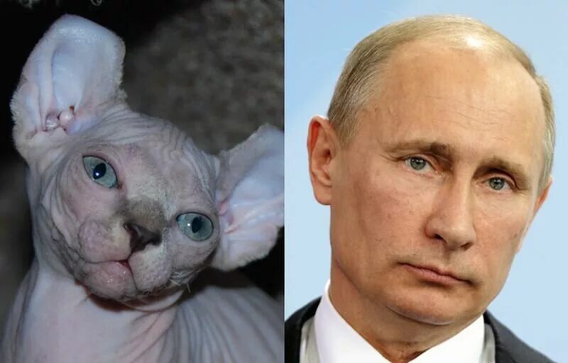Хотя это больше похоже на. Хочу такие отношения. Мужчины без женщин. Хотя это больше похоже на. Пользоваться людьми цитаты.