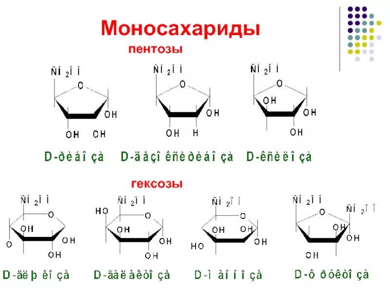 Пентозы и гексозы. Манноза гексоза. Моносахариды гексозы формула. Глюкоза пентоза. Гексоза это