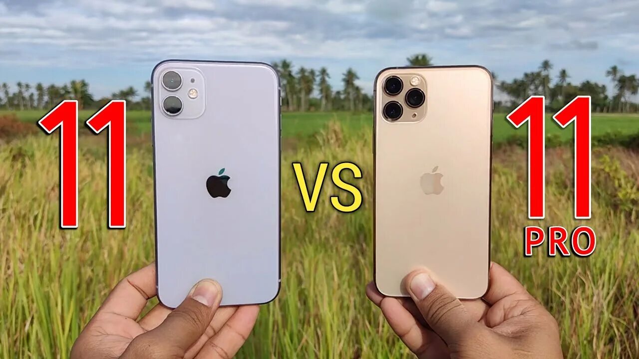 Iphone 11 vs 11 Pro. Iphone 11 Pro vs 11 Pro камера. Iphone 11 vs iphone 12 камера. Iphone 11 Pro vs iphone 12 камера. Iphone 15 vs 15 pro сравнение