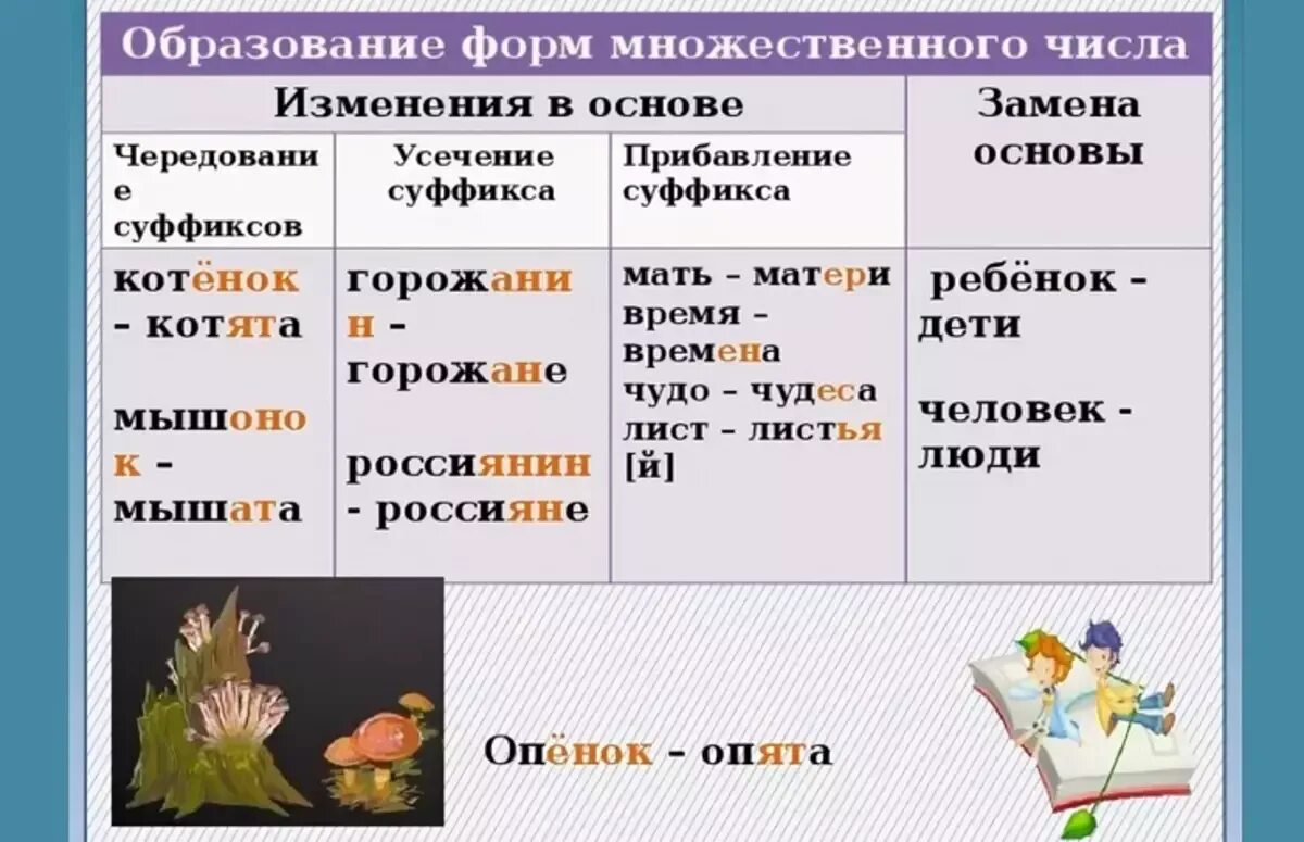 Существительное из 5 форма. Образование форм множественного числа существительных в русском. Образование форм множественного числа имен существительных. Множественное число сущ русский язык. Множественное число имен существительных.