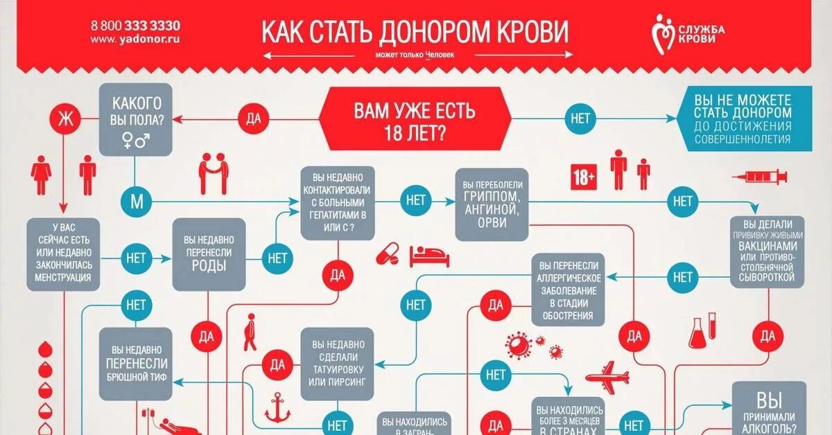 Кто может сдать кровь на донорство требования. Порядок сдачи крови. Сдача крови на донорство правила. Правило сдачи крови донор. Памятка донору.