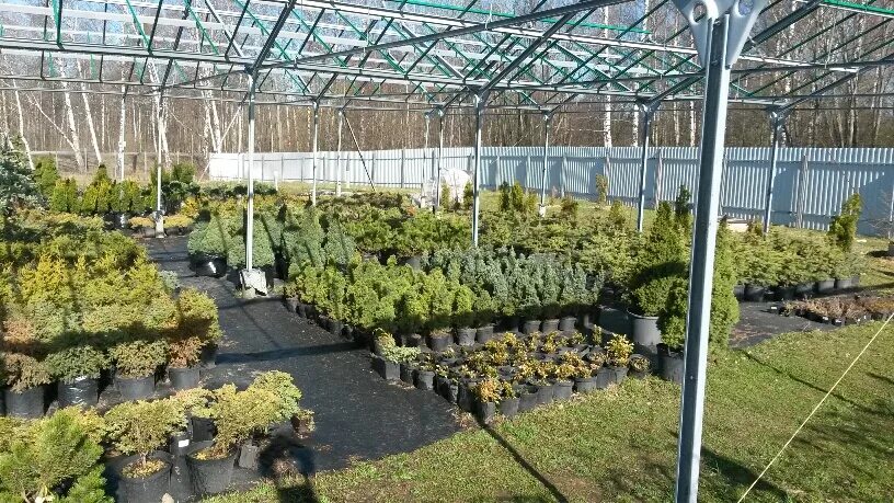 Садовый центр краски лета. Leaf garden садовый центр уфа. версаль садовый центр. садовый центр 7 цветов. магазин растений в уфе.