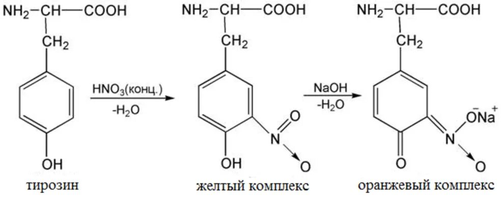 Белки с азотной кислотой. Ксантопротеиновая реакция на тирозин. Ксантопротеиновая реакция белков формула. Ксантопротеиновая реакция формула реакции. Формула ксантопротеиновой реакции на белки.