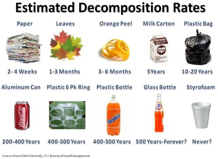 How many terms. Plastic decomposition. terms of decomposition of garbage. decomposition of debris. how long does it take garbage to decompose.