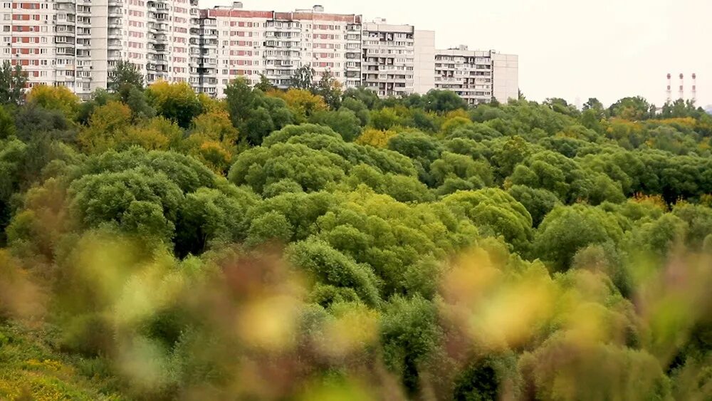 Южное Тушино. Природно-исторический парк Тушинский. Северное Тушино. Район Тушино Москва. Сайт южное тушино