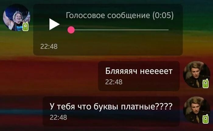 Можно голосовой сказать. Голосовое сообщение. Шутка про голосовые. Голосовые сообщения прикол. Мемы про голосовые сообщения.