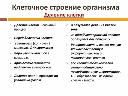 Клеточное строение организма 8 класс тест ответы