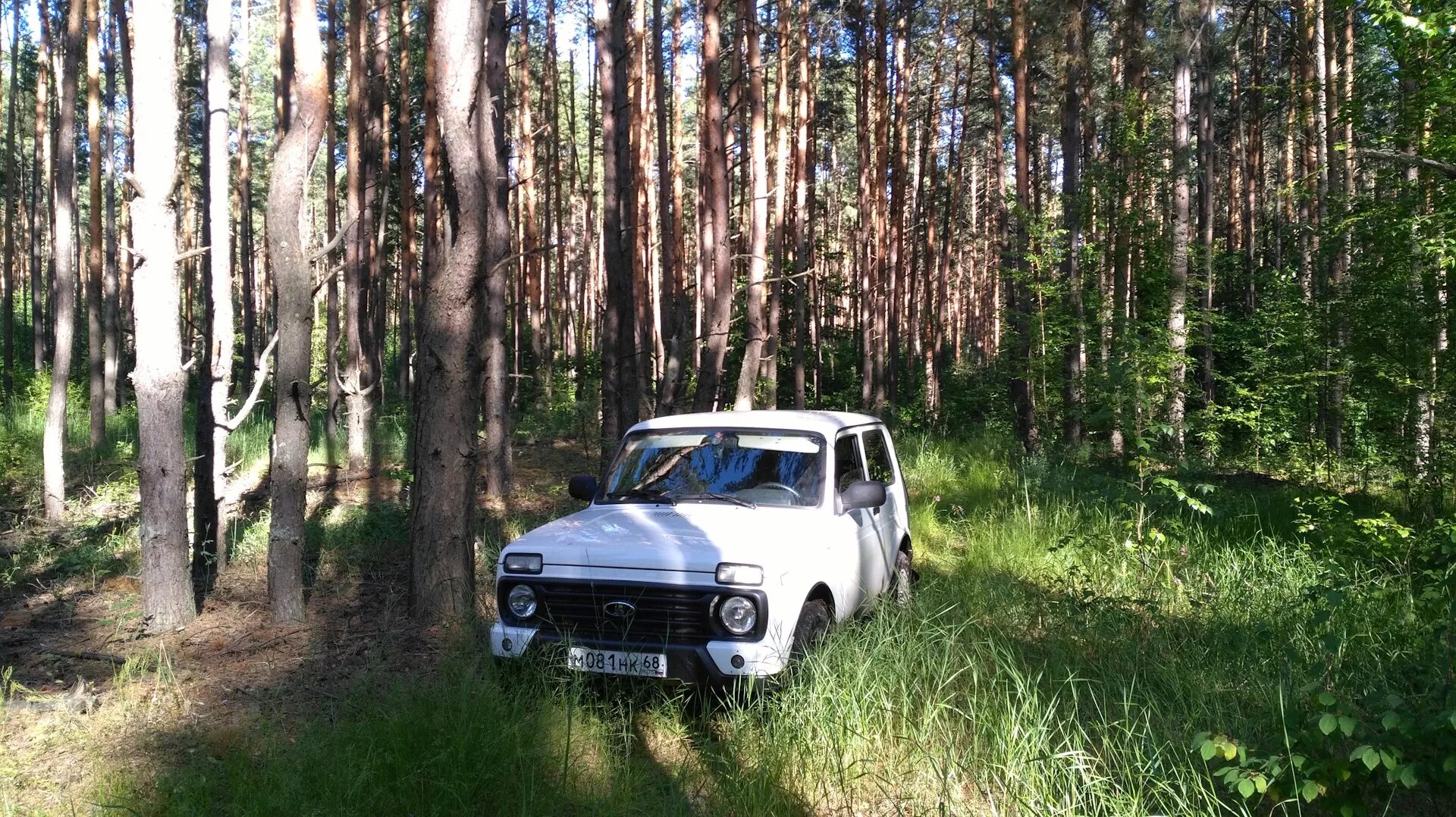 Белорецк нива. Нива 2121 в лесу. Нива 21214 в лесу. Нива Урбан в лесу. Белая Нива в лесу.