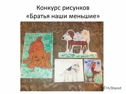 Рисунок на тему поможем братьям нашим меньшим