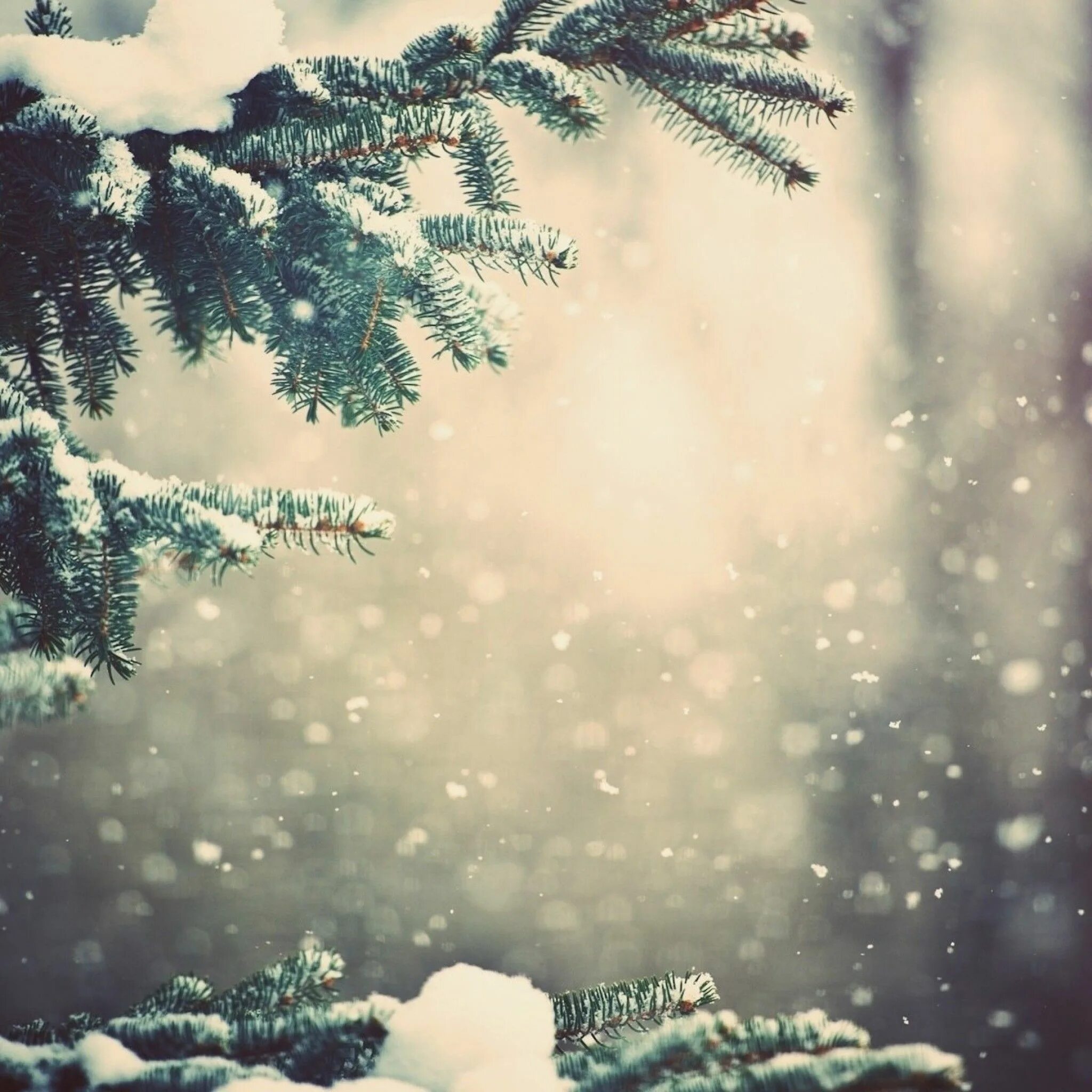My snow and me