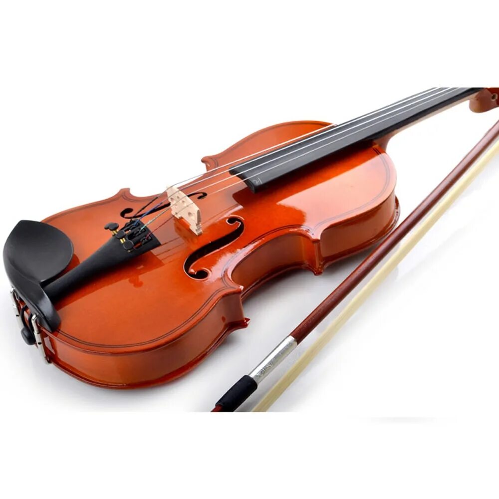 Цвет скрипки. Скрипка цвет. Скрипка дешевая. Современные акустические скрипки. Самая дешевая скрипка.