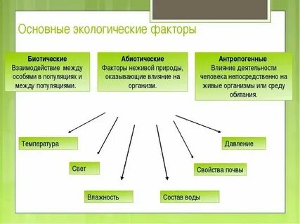 Экологические и биологические системы