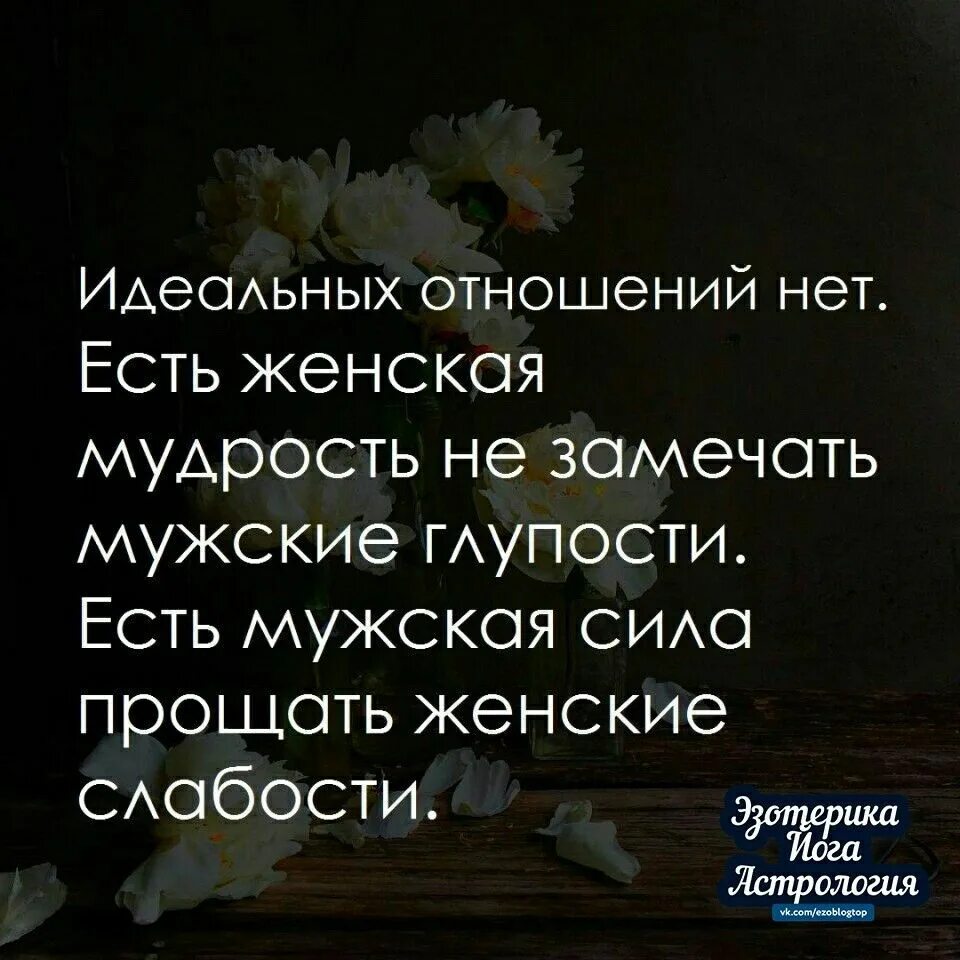 Умные фразы про отношения. Мужская мудрость не замечать женские. Весёлые. Мужчина должен прощать женские слабости. Афоризмы про отношения.