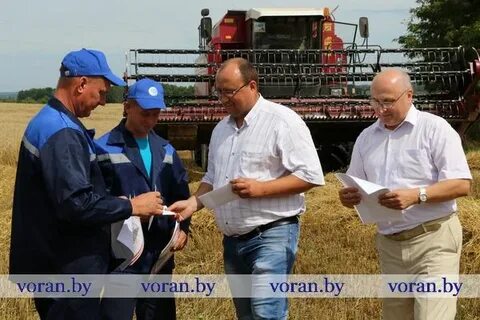 Спк официально