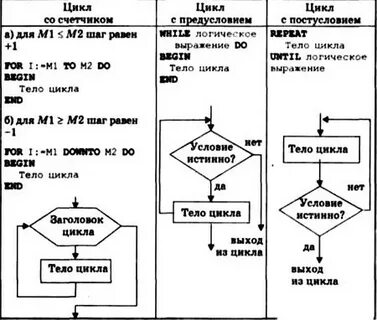 Цикл реферат