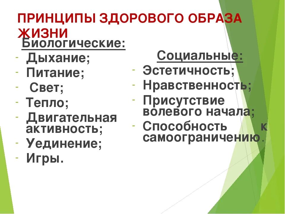 Принципы здорового образа жизни. Основные принципы ЗОЖ. Назовите основные принципы здорового образа жизни. Принципы организации здорового образа жизни.
