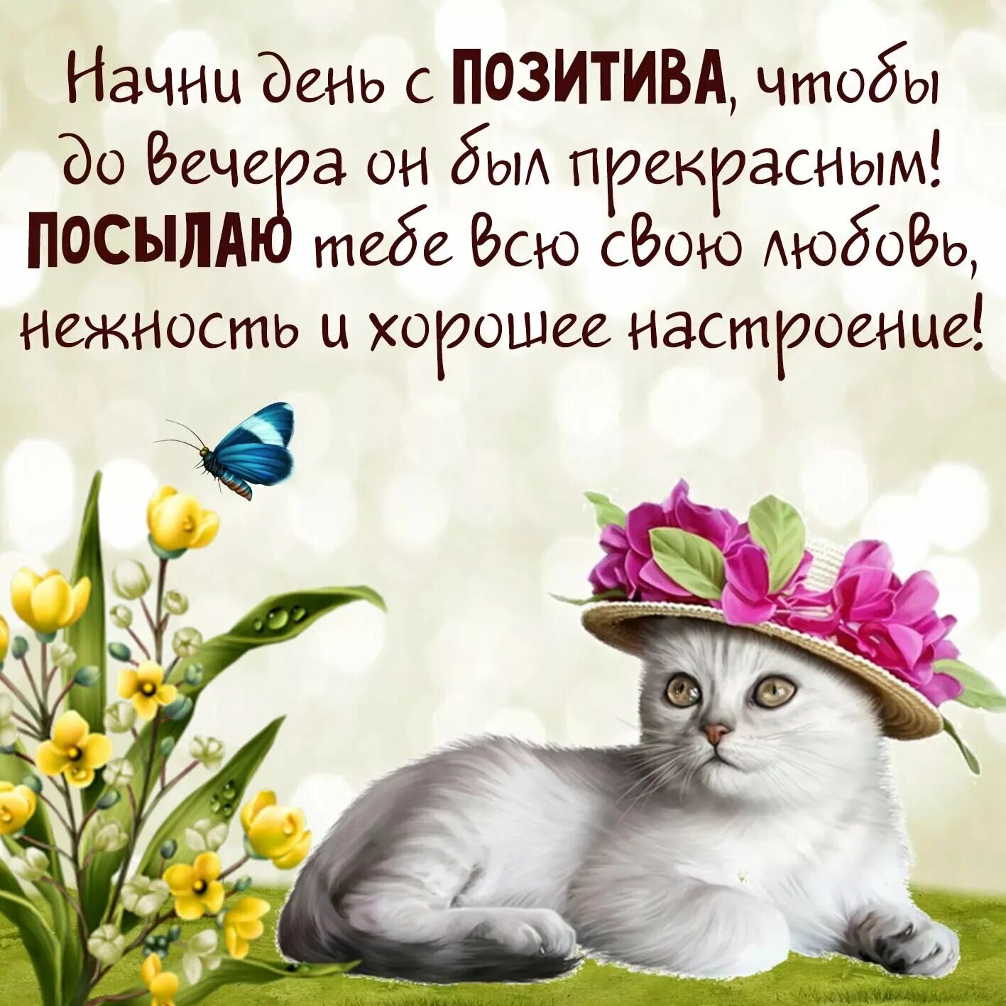 Мир позитива доброго дня