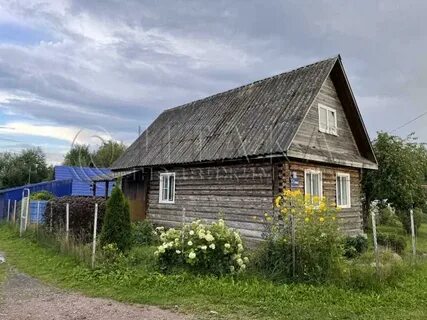 5 я доможировская улица