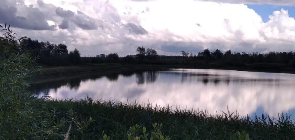 Погода в тимирязево пензенской