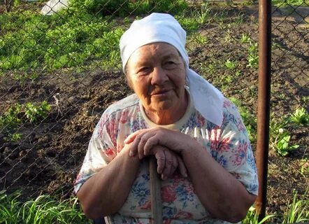 Бабушка хрен