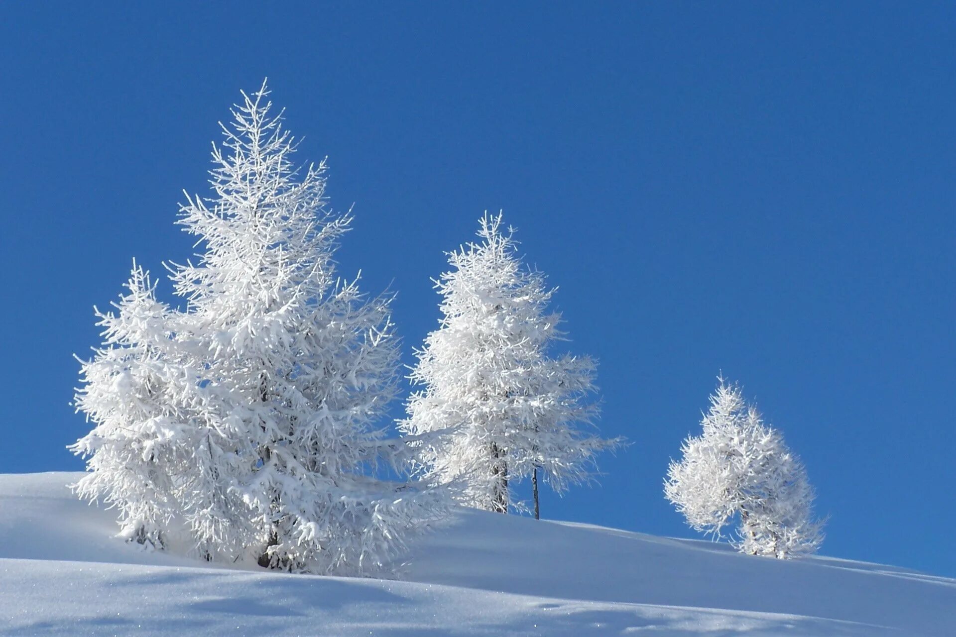 Зима ни. Зимний пейзаж. Зима снег. Деревья в снегу. Белоснежная зима.