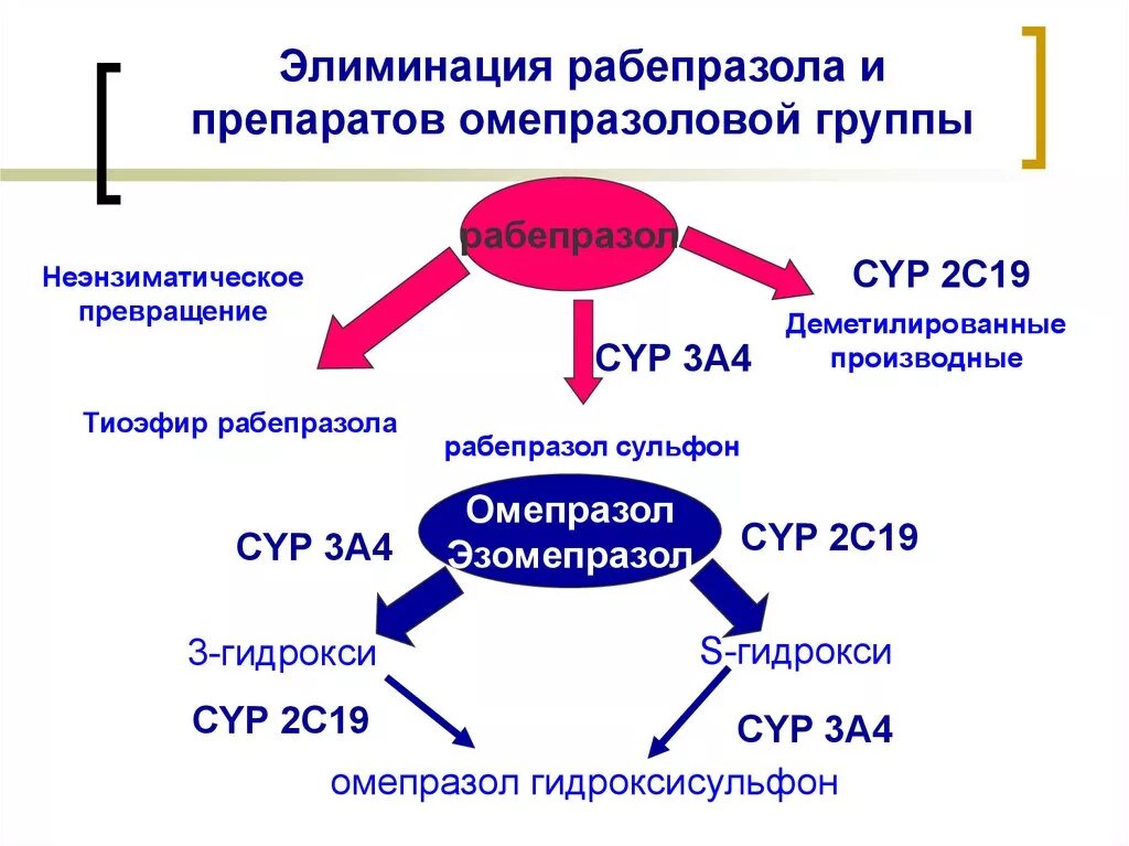 Рабепразол или омепразол разница что лучше. Механизм действия рабепразола. Рабепразол фармакологический эффект. Препараты группы раберозола. Эффекты рабепразола.