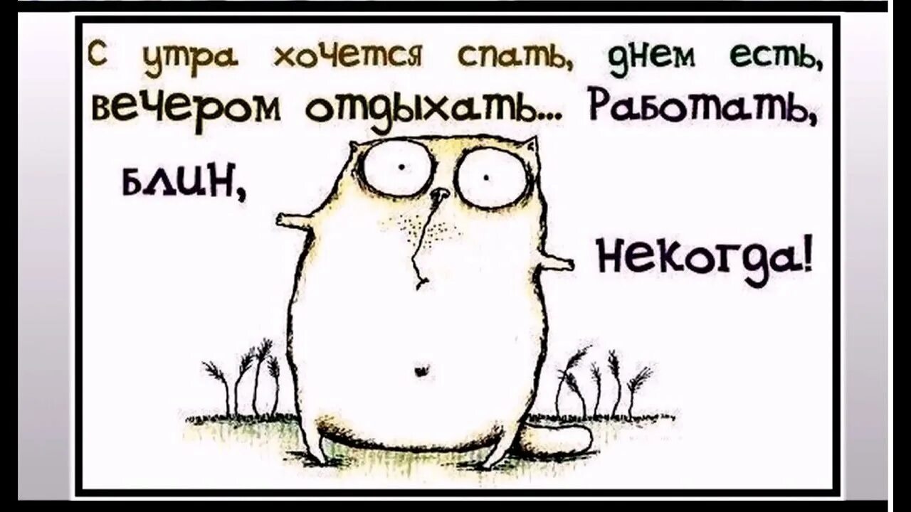 Открытки про работу. Прикольные открытки про работу. Цитаты про работу смешные. Смешные рисунки про работу. Прикольные рисунки с надписями.