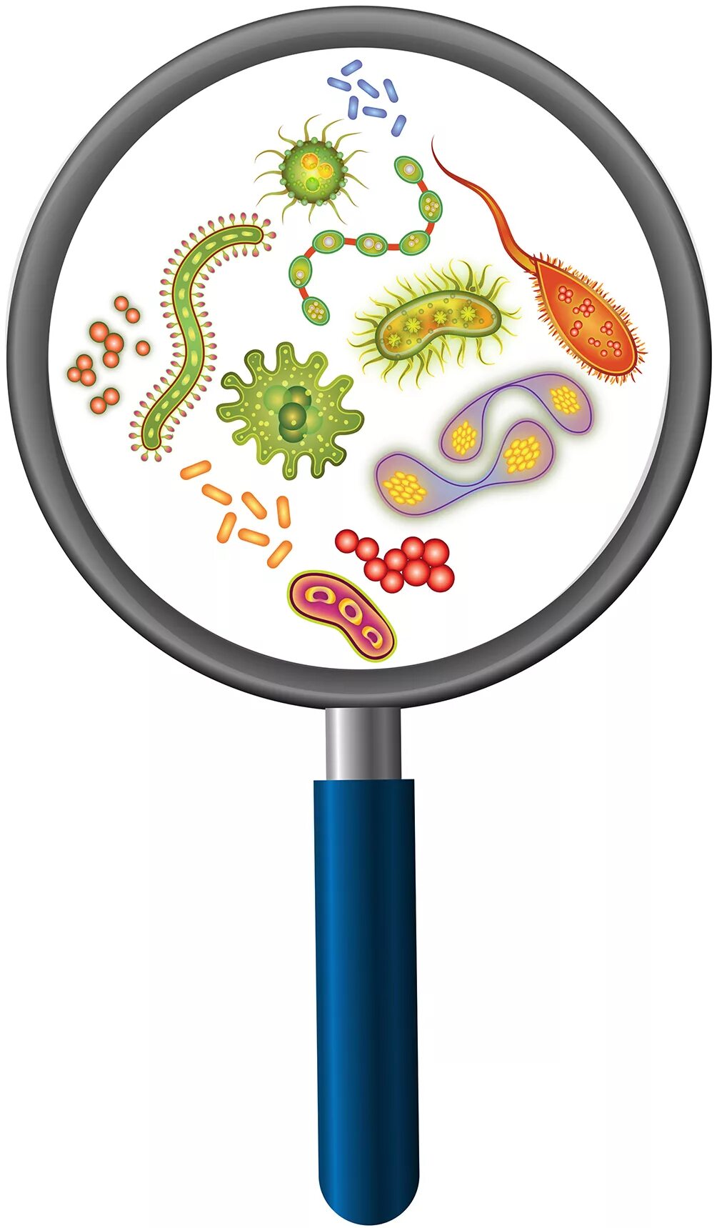 Микробиология для детей. Микробиология наука о живых организмах. Микробиология детям. Микробиология детям. Микробы вирусы бактерии для детей.