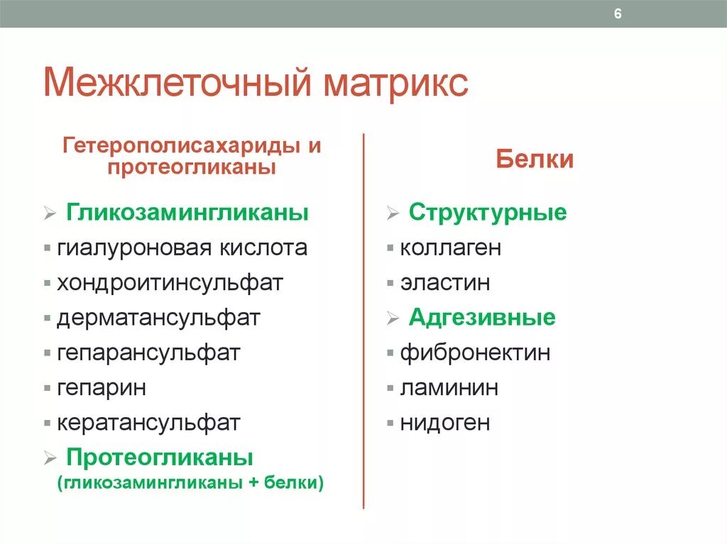 Вещества матрикса. Состав межклеточного матрикса соединительной ткани. структурная организация межклеточного матрикса. структурная организация межклеточного матрикса биохимия. структура межклеточного матрикса.